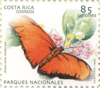 Costa Rican national park butterflies
